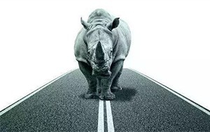 臣通觀點(diǎn)丨小心，中國產(chǎn)業(yè)園區(qū)的“灰犀?！庇謥砹?！